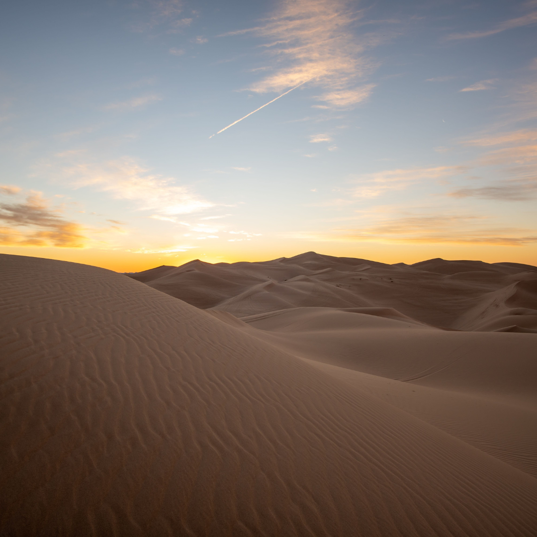 Imperial Sand Dunes (Glamis)