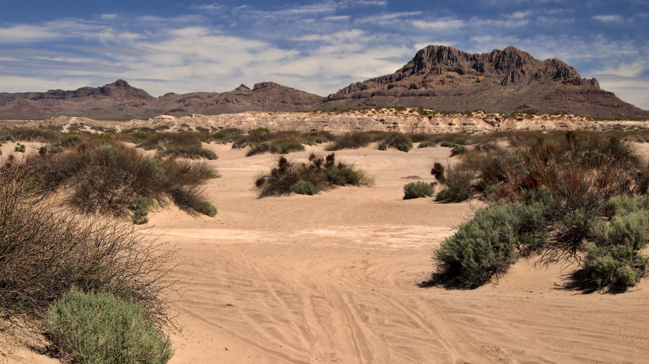 Hot Well Dunes Recreation Area